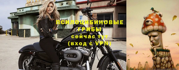 прущие крисы Аркадак