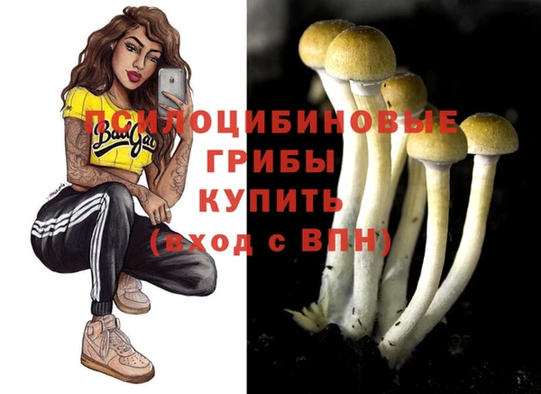прущие грибы Армянск