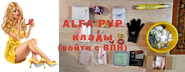 крисы Баксан